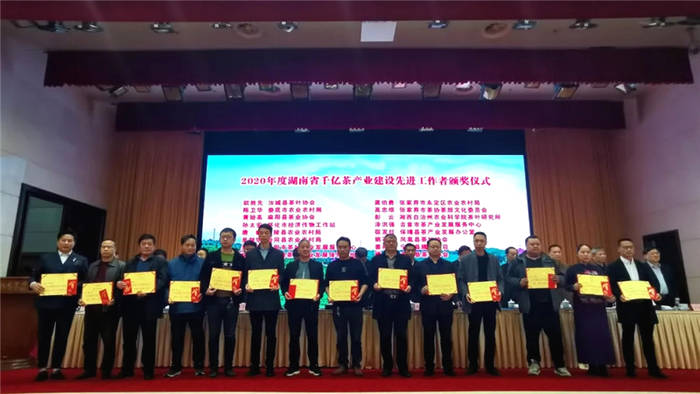 关于推动湘茶高质量发展 助力乡村振兴 湖南省茶叶行业工作会议召开的热门资讯(24)