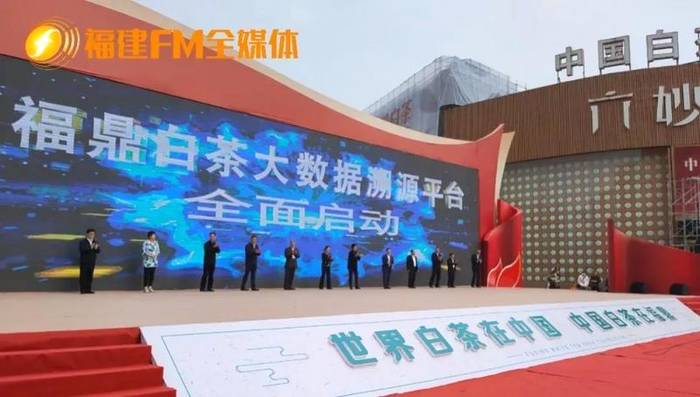 有关于福建FM全媒体记者镜头下的福鼎白茶产业的最新资讯(2)