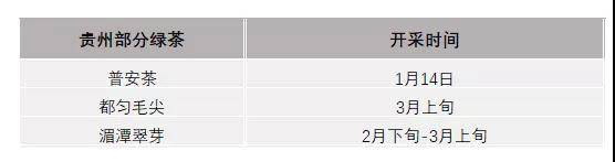 有关于2021年春茶已开采各名茶区绿茶采摘时间汇总的新闻(6)