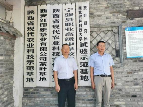 关于“茶博士”“茶王”强强联手 汉中“茶旅融合”蹚出新路子的信息