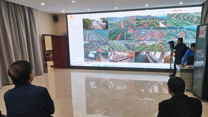 有关于5G赋能坦洋工夫跨越式发展，“智慧茶园”成效显著的新闻