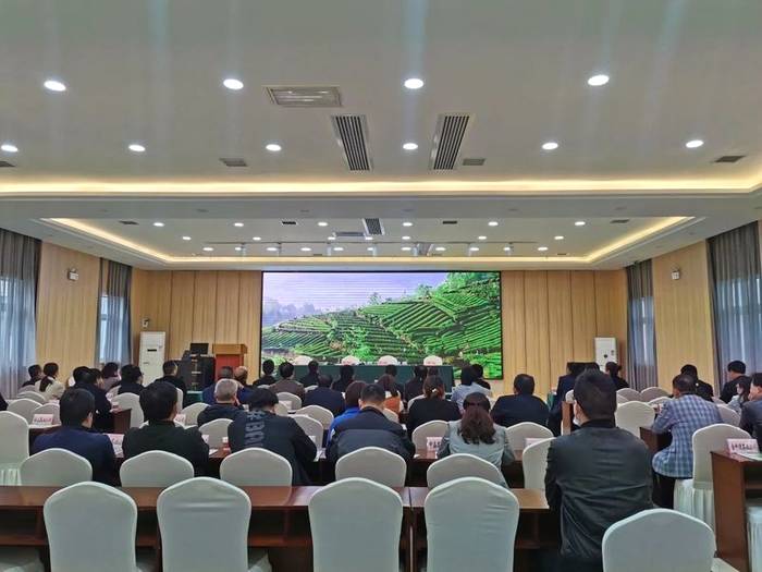 关于汉中市农业农村局召开汉中茶叶区域公用品牌建设工作会的最新信息(1)