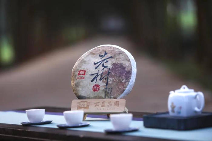 有关于一周热门：2021中国春茶产销形势报告，不同地区如何做好普洱茶存储，第四届中国国际茶叶博览会即将举办的最新消息(3)