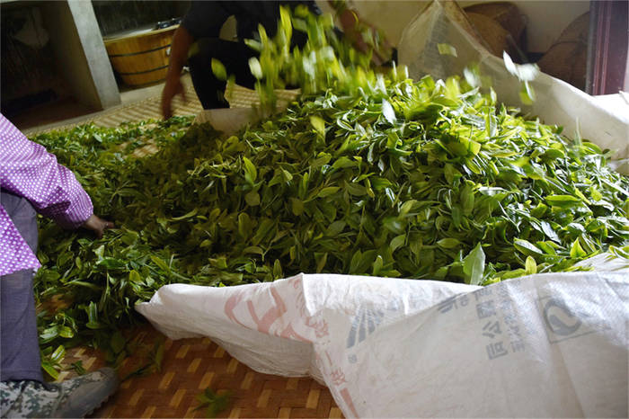 关于“如何提升茶经济”“2021普洱茶市场分析”“新茶饮市场边界在哪”的热门信息(2)