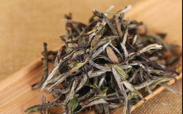 关于福鼎白茶连续12年上榜，品牌价值超50亿元！的热门信息