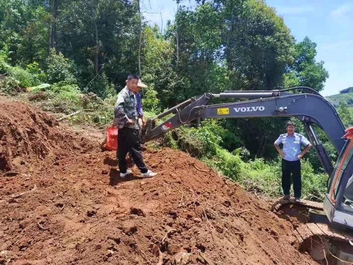 有关于抓好源头,促进福鼎白茶产业绿色高质量发展的资讯(4)