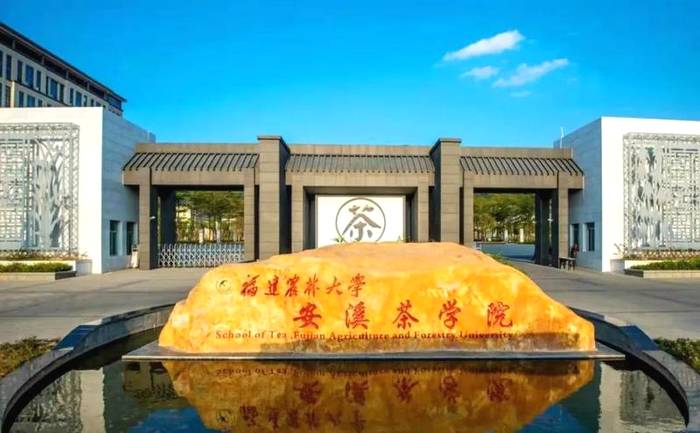 有关于“十大冷门”专业下的茶学研究生，这几年竟然悄悄有了这些变化？的热门新闻(2)