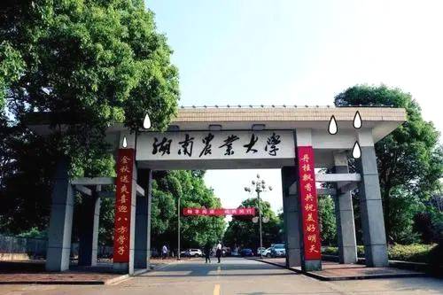 关于高考完想学茶的小朋友，这些高校开茶学专业噢！的消息(5)