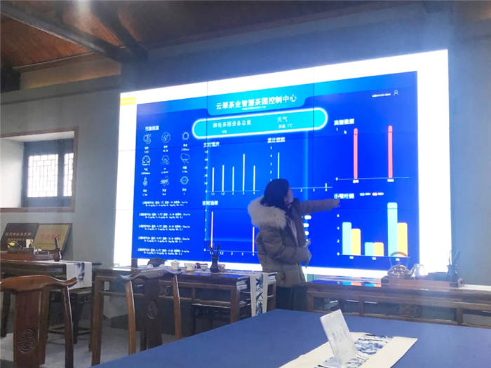 有关于一部手机掌控整个茶园，浙江开化茶农有了“好帮手”的消息