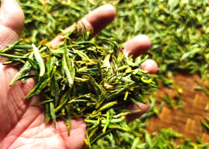 关于景宁县郑坑乡 引进知名高级炒茶技师指导炒制龙井茶的资讯