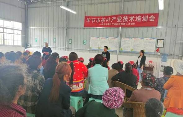 关于毕节市茶产业科技创新人才团队专家现场指导群众采茶的热门信息(4)