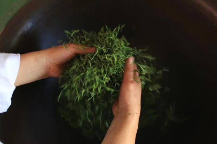 有关于四川省茶叶行业协会一行赴四川川黄茶业集团有限公司调研的最新信息(4)