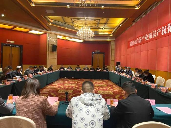 关于全民共护“福鼎白茶”品牌！我市召开白茶产业知识产权保护工作座谈会的热门资讯(1)