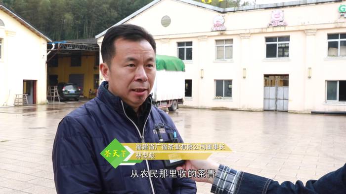 关于福鼎白茶大数据溯源平台正式运行，听听茶农茶企都是怎么说！的热门新闻(13)