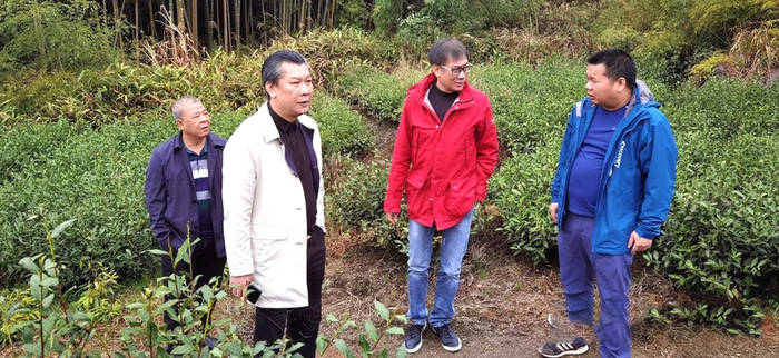 关于东莞茶协考察粤北茶区 振兴“粤茶”要唱响东莞声音的最新消息(8)