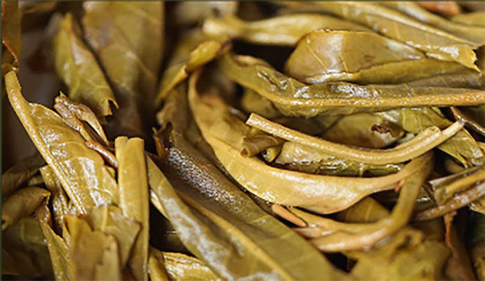 有关于一周热门：2021中国春茶产销形势报告，不同地区如何做好普洱茶存储，第四届中国国际茶叶博览会即将举办的最新消息(8)