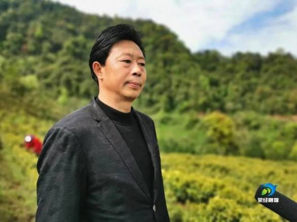 关于雅安｜荥茶万亩茶山飘香  助力乡村振兴的最新信息(3)