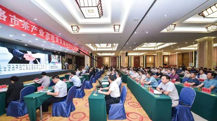 关于中国茶叶学会组织专家走进商洛，助力商洛茶业高质量发展的资讯