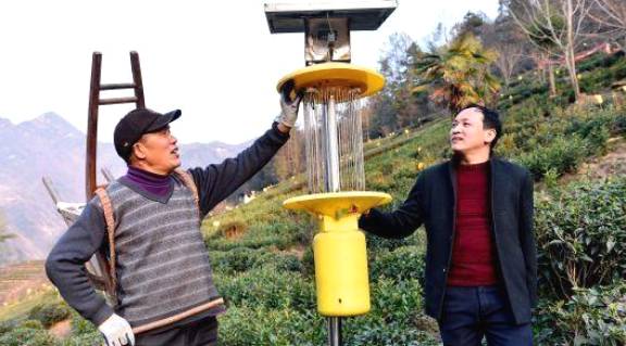 关于五峰人大代表履职在茶园 助推茶产业发展的消息