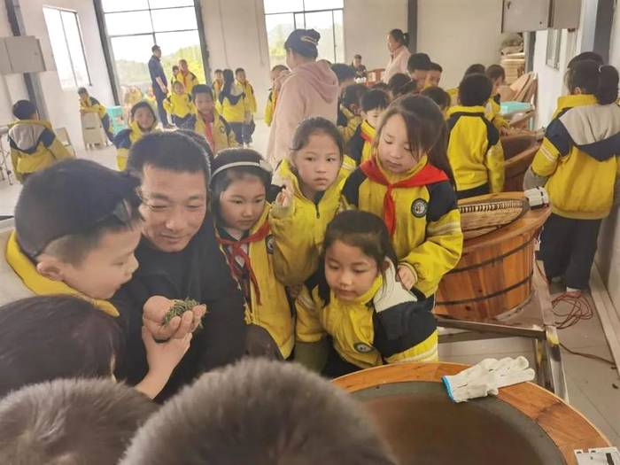 关于茶文化从娃娃抓起，林城苗苗学校开展“茶叶研学”的热门新闻(7)