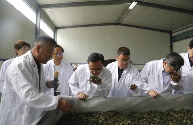 关于中国工程院院士刘仲华一行调研安康市茶产业发展情况的热门新闻(1)