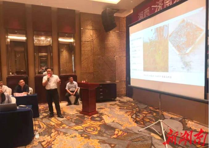 关于“好水遇好茶 茶香飘泉城” 湘西优质茶叶成为山东济南消费“爆款”的最新资讯(5)