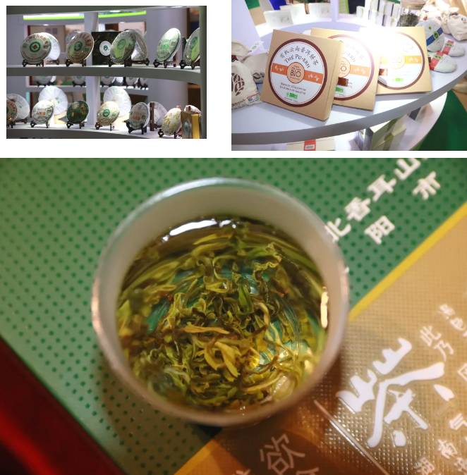 关于40+有机茶企业展现“中国标准”，与六国有机产品同登亚洲大舞台的热门消息(4)