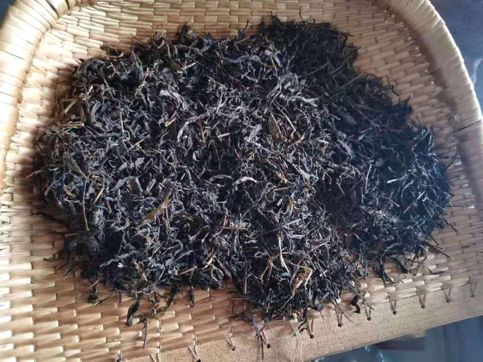 关于紫阳县狠抓夏季茶园管理，强化组织生产延链促增收的新闻(12)