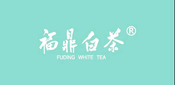 有关于绿色理念绘就新的发展蓝图，有机白茶品牌助推国茶振兴！的最新消息