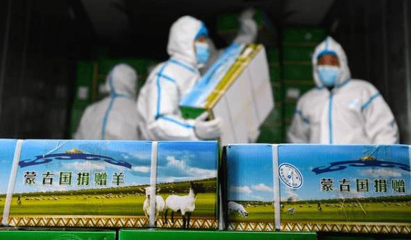 有关于上合组织民间友好论坛：“羊来茶往”成佳话的资讯(7)