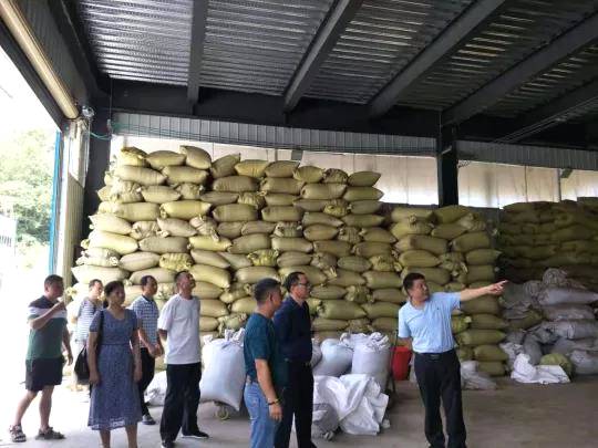 有关于湖南茶叶学会专家在“中国名茶之乡”再传茶经的消息(1)