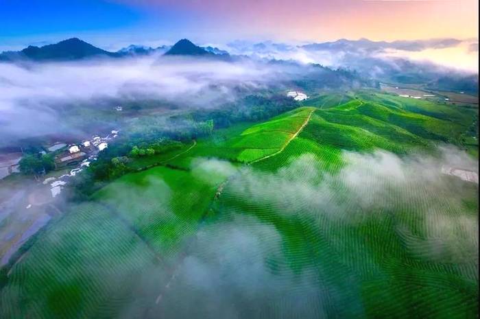 关于泉州申遗用了20年，“万里茶道”申遗之路还要走多久？的最新信息(8)