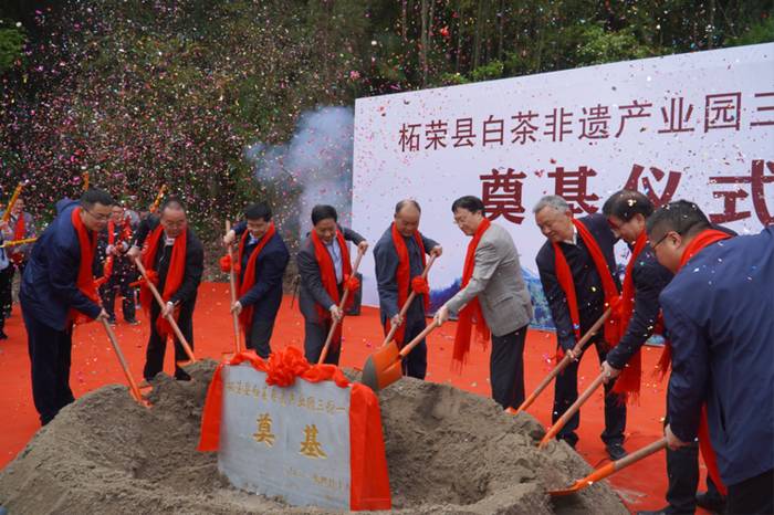 有关于前方高能!柘荣高山白茶竟然有“仙气”!的热门新闻(5)