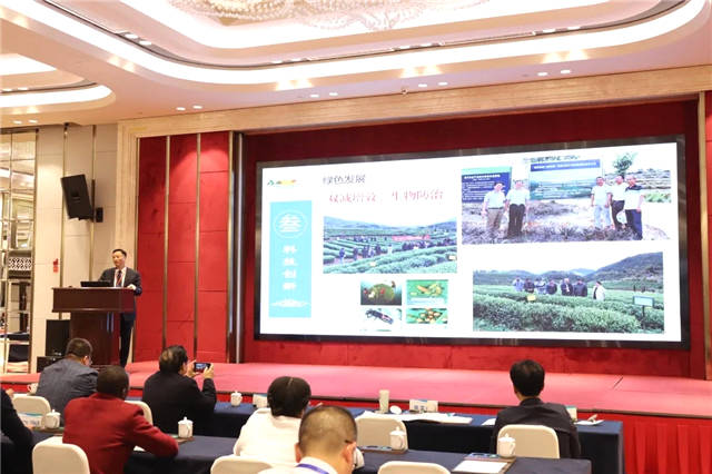 有关于首届茶产业协同创新论坛：“政产学研用”共谋茶产业高质量发展的热门消息(13)