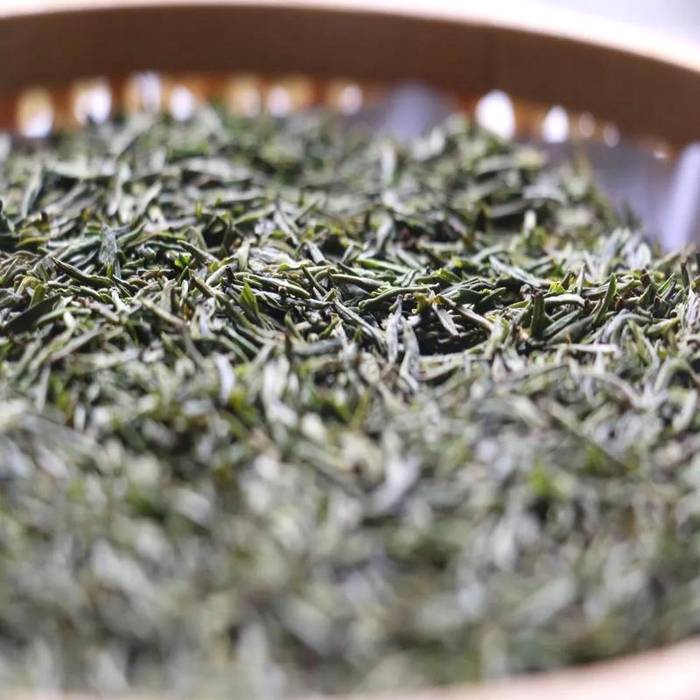 有关于从女娲故里“生物基因库”走出的茶中“尤物”的资讯(2)