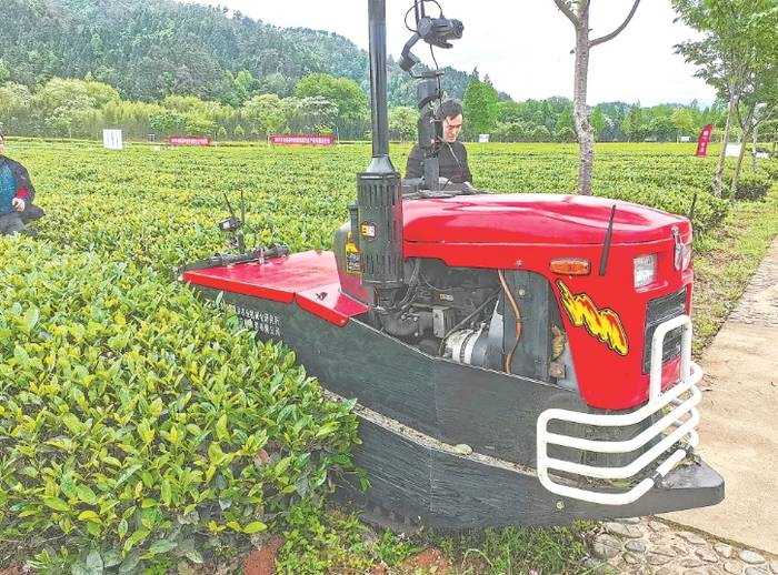 关于茶园生产 茶叶机械化难题 还要研推结合的信息(6)