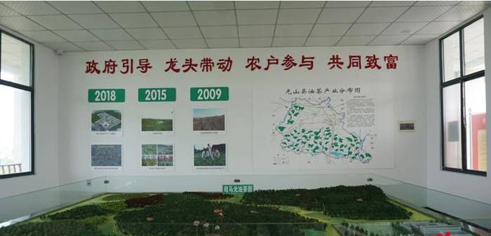 有关于中外网红在信阳:赴一场茶香之旅 看“小茶叶”如何托起“大产业”的资讯(2)