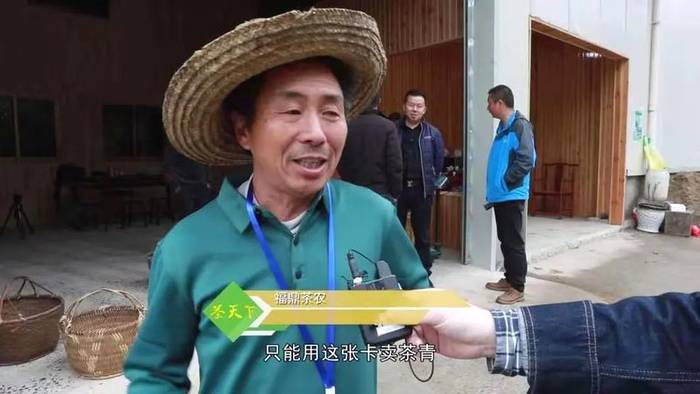 有关于新时代下,稳步良性发展的产业——福鼎白茶,值得关注的资讯(10)