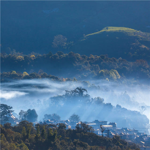 有关于普洱茶市场“夏暖冬凉”，业界：成“慢牛”才是好事的热门资讯(2)