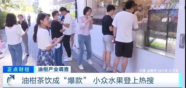 有关于一杯茶，带火了这种小众水果！身价飙涨10倍，价格一天三变？的热门新闻