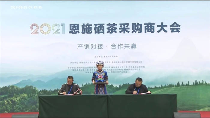 关于湖北：2021恩施硒茶采购商大会在恩施市硒茶小镇举行的热门新闻(8)