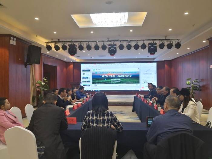 关于贵州正安县赴西北招商助推地方茶产业发展的热门资讯(2)