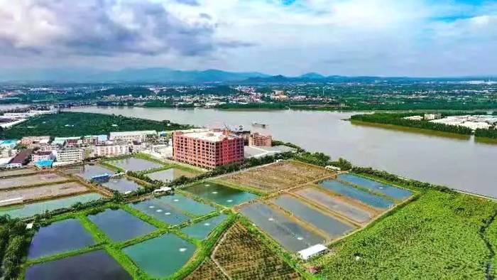 有关于泓达堂解密小青柑②:践行有机种植,严控源头品质的最新资讯(4)