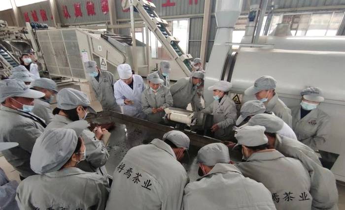 关于面对面交流 手把手传授 贵州绿茶·正安白茶加工技术培训班在正安县开班的热门消息(8)