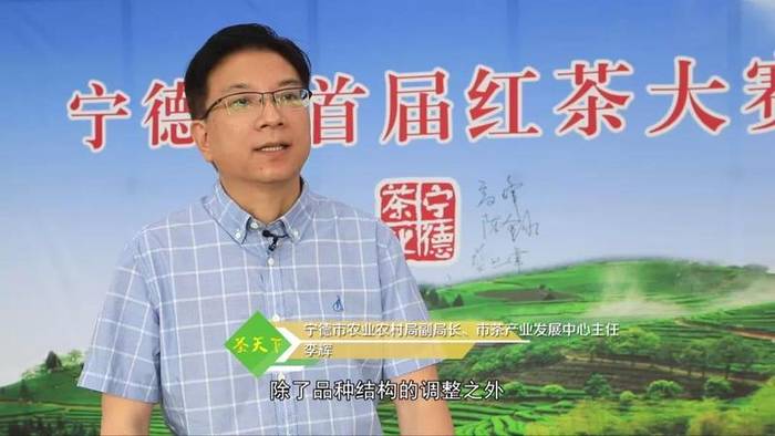 有关于宁德首届红茶大赛落幕，这两大类型红茶将主导市场的资讯(11)