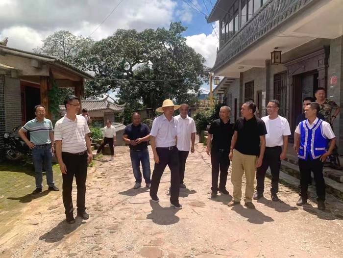 关于省人大常委会副主任李培考察西双版纳古树茶保护工作侧记的资讯(3)