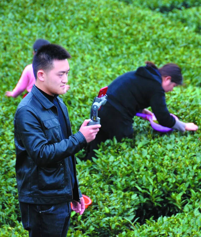 有关于2021农产品电商百强县名单发布!福鼎(白茶)第九的最新消息(2)