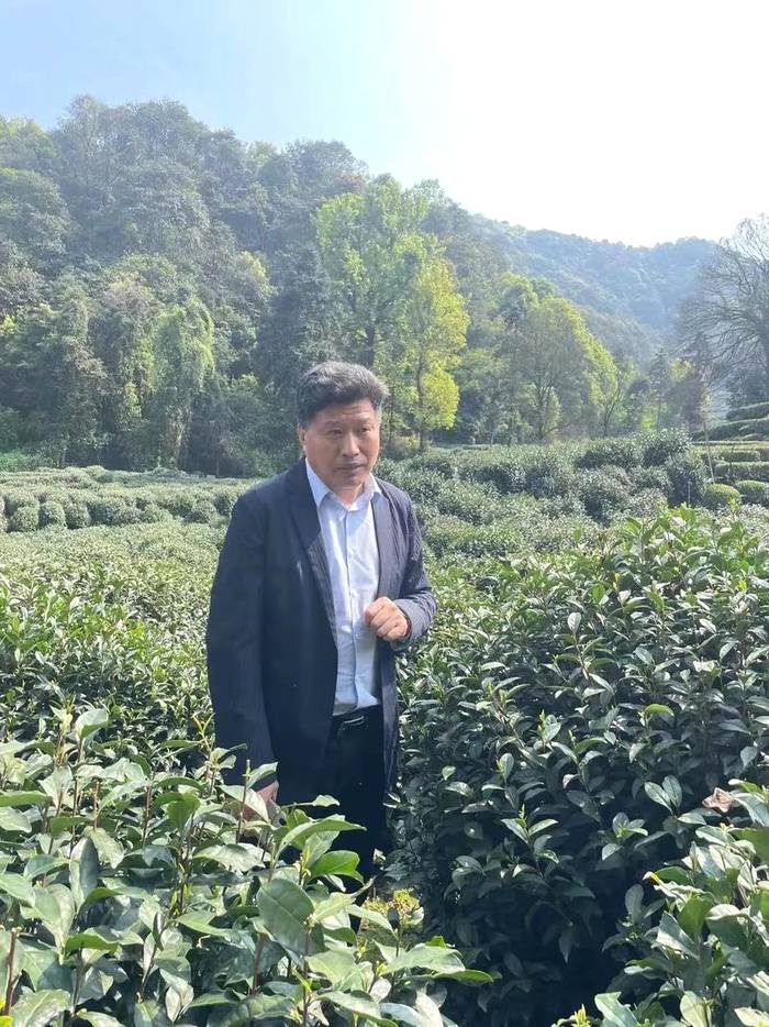 关于“一带一路”留学生西湖龙井研学班走进狮牌的热门资讯(5)