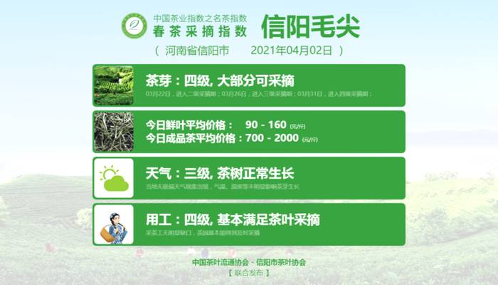 有关于六安瓜片开采啦，附其它知名茶叶的采摘指数的新闻(7)