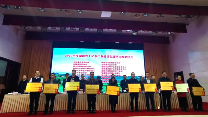 关于推动湘茶高质量发展 助力乡村振兴 湖南省茶叶行业工作会议召开的热门资讯(19)